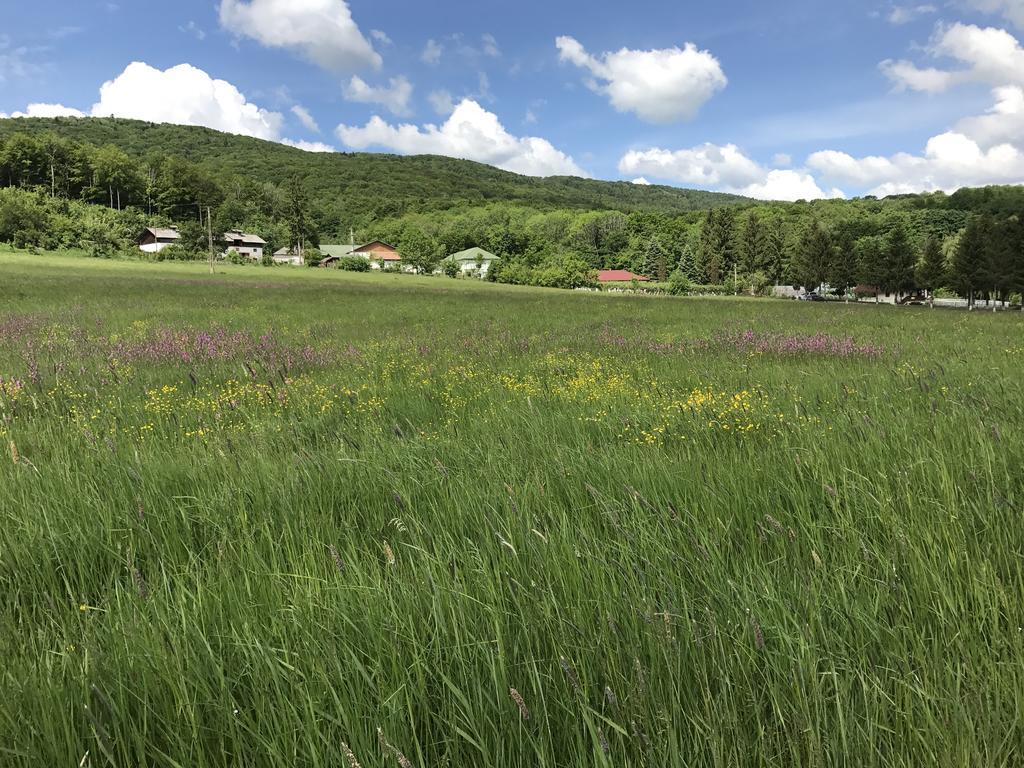 Activ Parc Otel Negresti Dış mekan fotoğraf